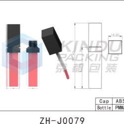 Lip Gloss ZH-J0079